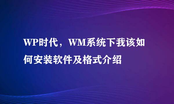 WP时代，WM系统下我该如何安装软件及格式介绍