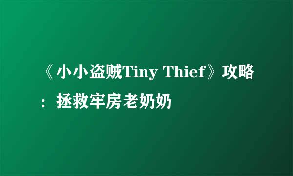 《小小盗贼Tiny Thief》攻略：拯救牢房老奶奶