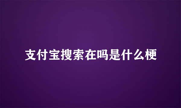 支付宝搜索在吗是什么梗