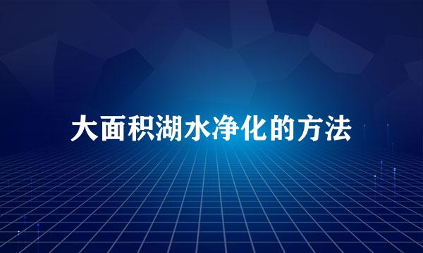 大面积湖水净化的方法