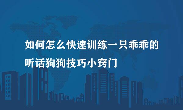 如何怎么快速训练一只乖乖的听话狗狗技巧小窍门