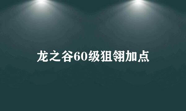 龙之谷60级狙翎加点