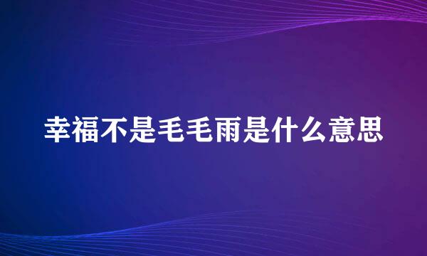 幸福不是毛毛雨是什么意思