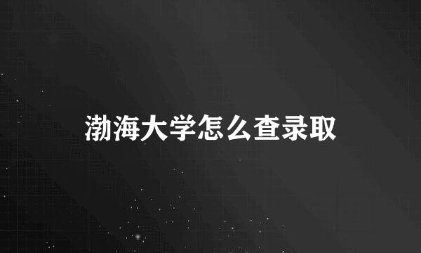 渤海大学怎么查录取