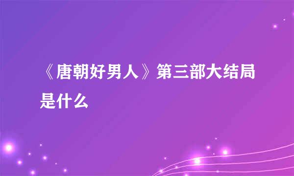 《唐朝好男人》第三部大结局是什么