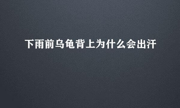 下雨前乌龟背上为什么会出汗