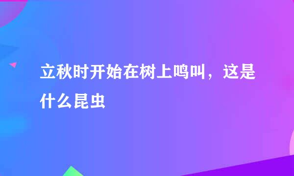 立秋时开始在树上鸣叫，这是什么昆虫