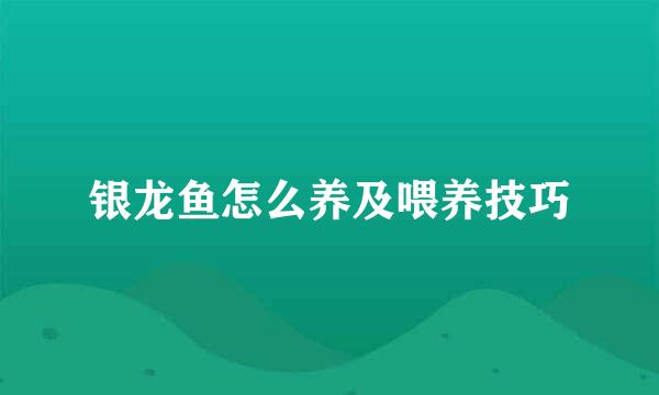 银龙鱼怎么养及喂养技巧