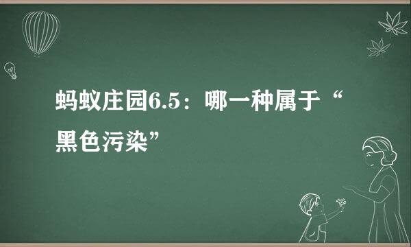 蚂蚁庄园6.5：哪一种属于“黑色污染”