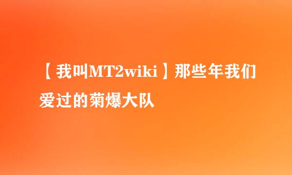 【我叫MT2wiki】那些年我们爱过的菊爆大队