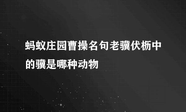 蚂蚁庄园曹操名句老骥伏枥中的骥是哪种动物