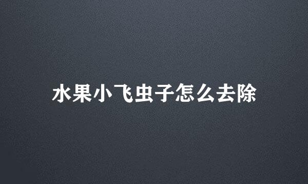 水果小飞虫子怎么去除