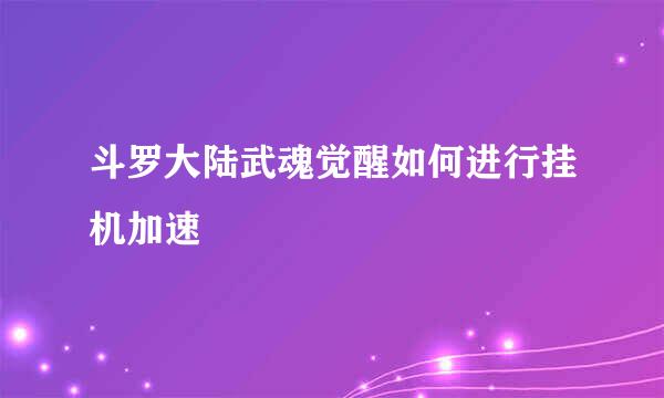 斗罗大陆武魂觉醒如何进行挂机加速