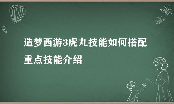 造梦西游3虎丸技能如何搭配 重点技能介绍