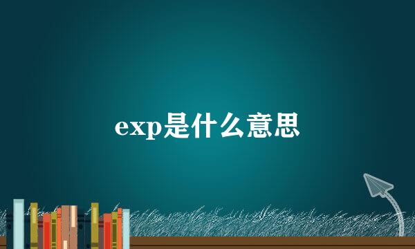 exp是什么意思