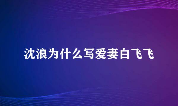 沈浪为什么写爱妻白飞飞