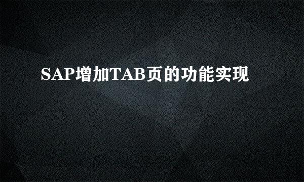 SAP增加TAB页的功能实现