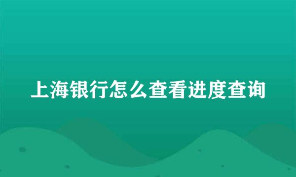 上海银行怎么查看进度查询