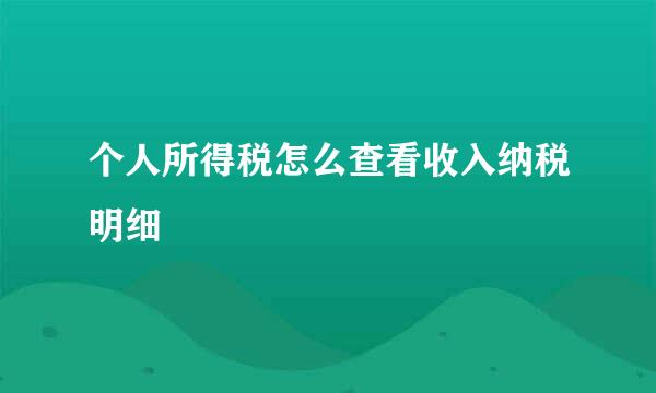 个人所得税怎么查看收入纳税明细