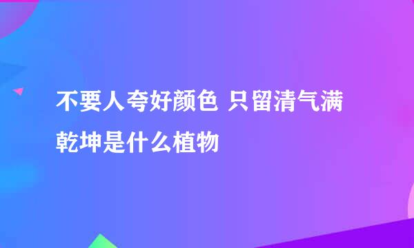 不要人夸好颜色 只留清气满乾坤是什么植物