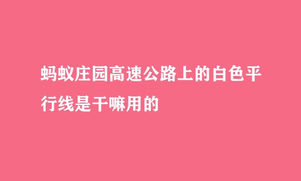 蚂蚁庄园高速公路上的白色平行线是干嘛用的