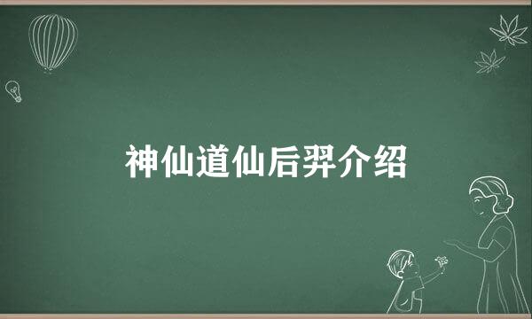 神仙道仙后羿介绍