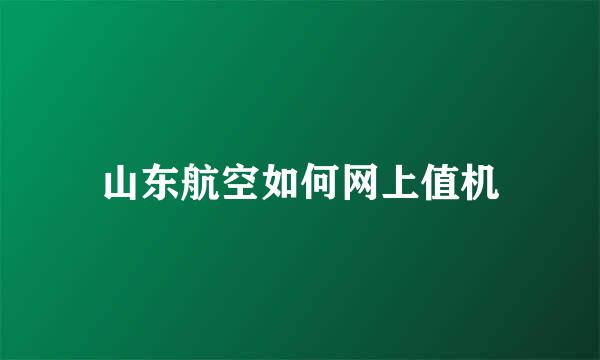 山东航空如何网上值机