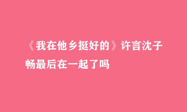 《我在他乡挺好的》许言沈子畅最后在一起了吗