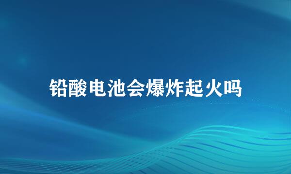 铅酸电池会爆炸起火吗