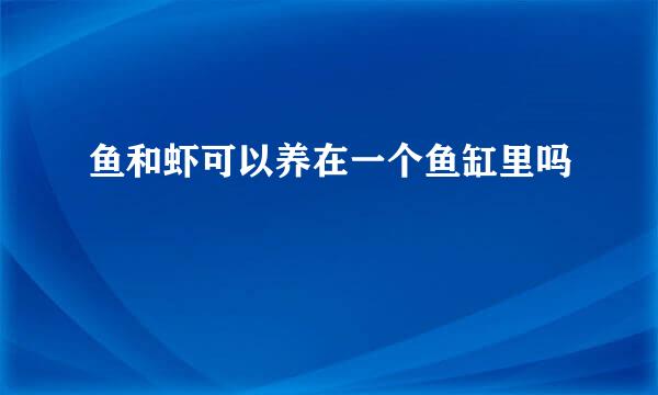 鱼和虾可以养在一个鱼缸里吗