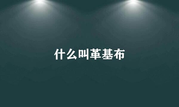 什么叫革基布