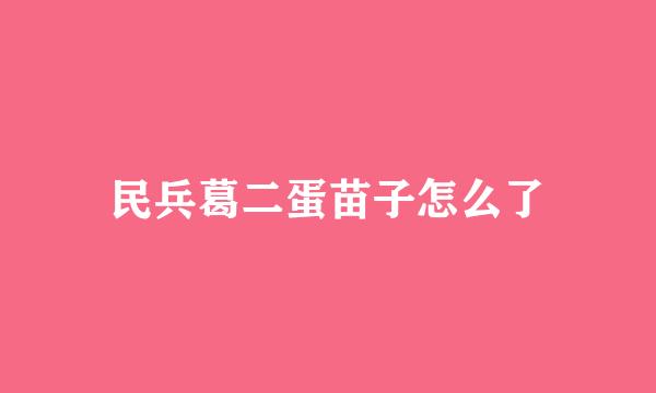 民兵葛二蛋苗子怎么了