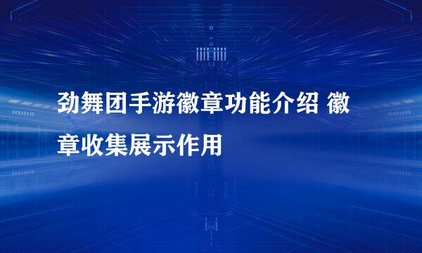 劲舞团手游徽章功能介绍 徽章收集展示作用