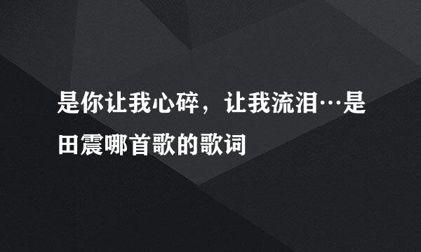 是你让我心碎，让我流泪…是田震哪首歌的歌词