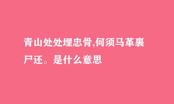 青山处处埋忠骨,何须马革裹尸还。是什么意思