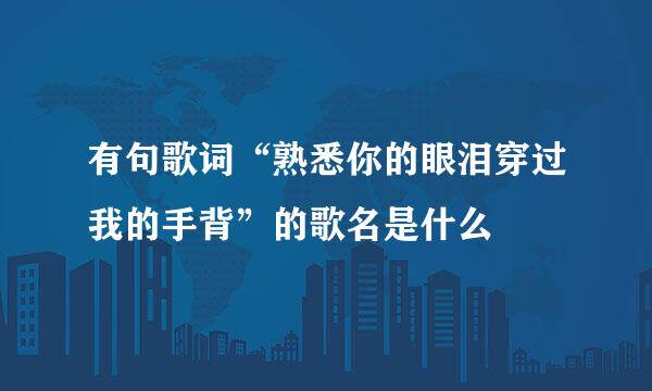 有句歌词“熟悉你的眼泪穿过我的手背”的歌名是什么