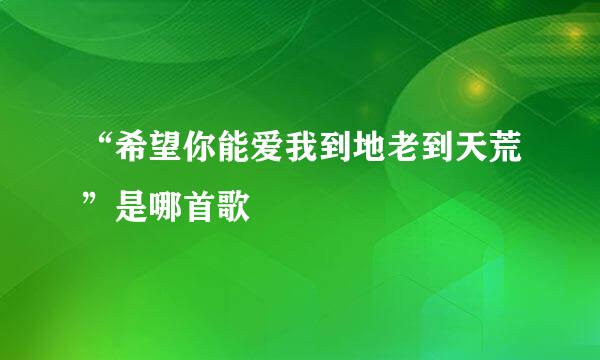 “希望你能爱我到地老到天荒”是哪首歌