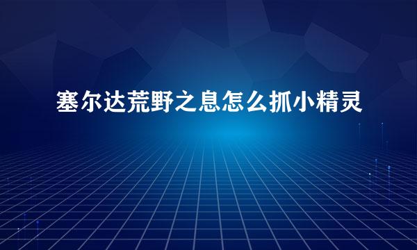 塞尔达荒野之息怎么抓小精灵