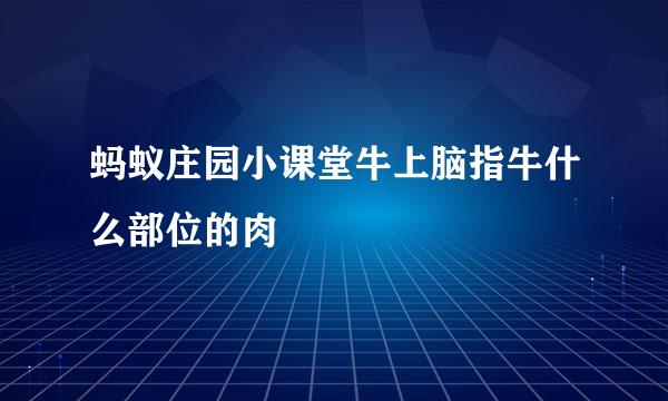 蚂蚁庄园小课堂牛上脑指牛什么部位的肉