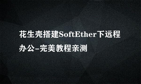 花生壳搭建SoftEther下远程办公-完美教程亲测