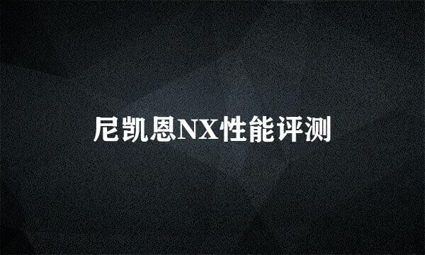 尼凯恩NX性能评测