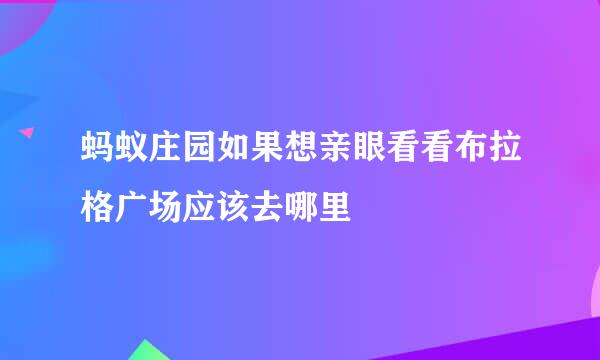 蚂蚁庄园如果想亲眼看看布拉格广场应该去哪里