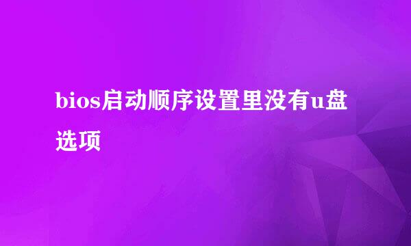 bios启动顺序设置里没有u盘选项