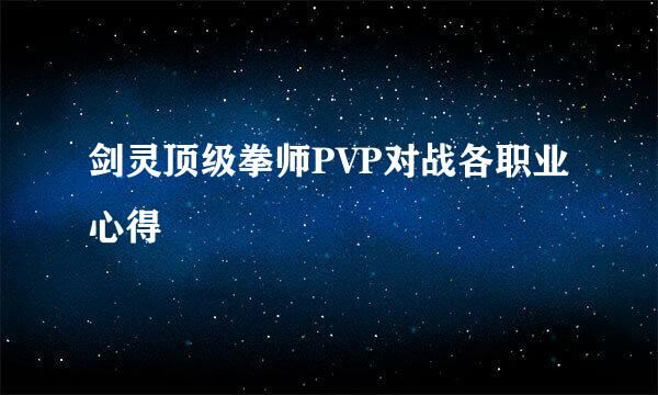 剑灵顶级拳师PVP对战各职业心得