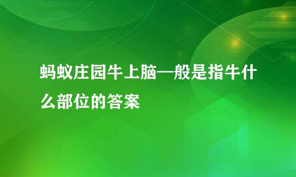 蚂蚁庄园牛上脑—般是指牛什么部位的答案