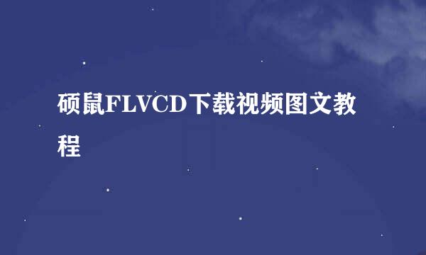 硕鼠FLVCD下载视频图文教程