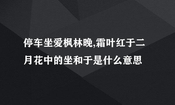 停车坐爱枫林晚,霜叶红于二月花中的坐和于是什么意思