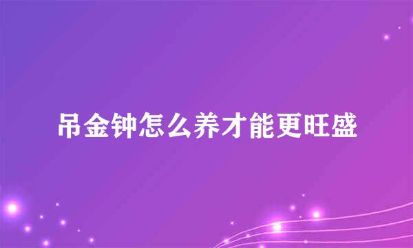 吊金钟怎么养才能更旺盛