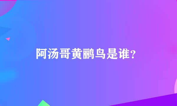 阿汤哥黄鹂鸟是谁？