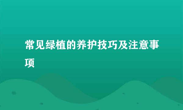 常见绿植的养护技巧及注意事项